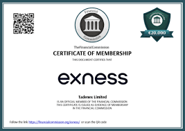 Understanding Exness Servers Performance and Trading Efficiency Understanding Exness Servers Performance and Trading Efficiency